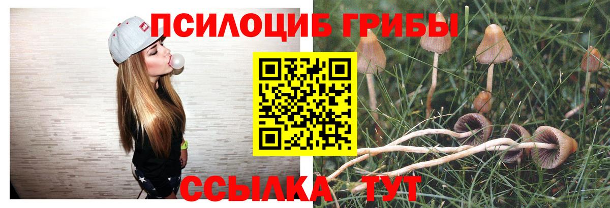 Псилоцибиновые грибы Psilocybine cubensis  Вход с VPN  Тихорецк 